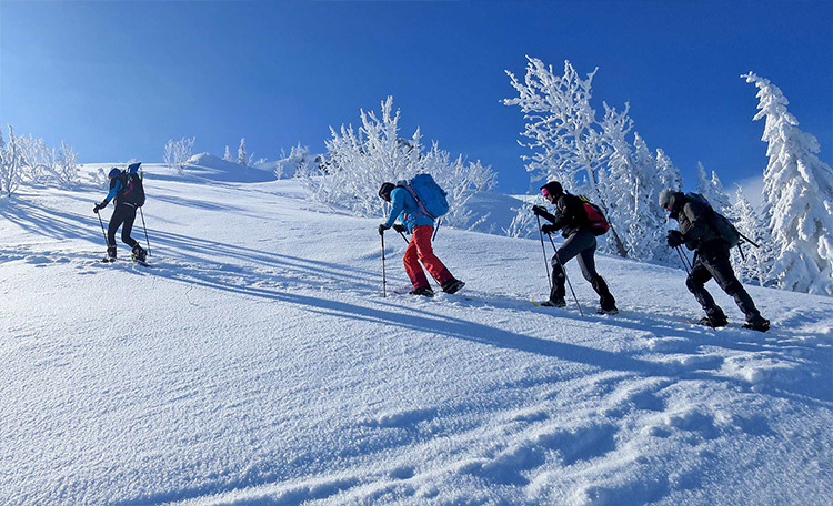 randonnée en raquettes pour les débutants Une groupe de randonneurs en raquettes